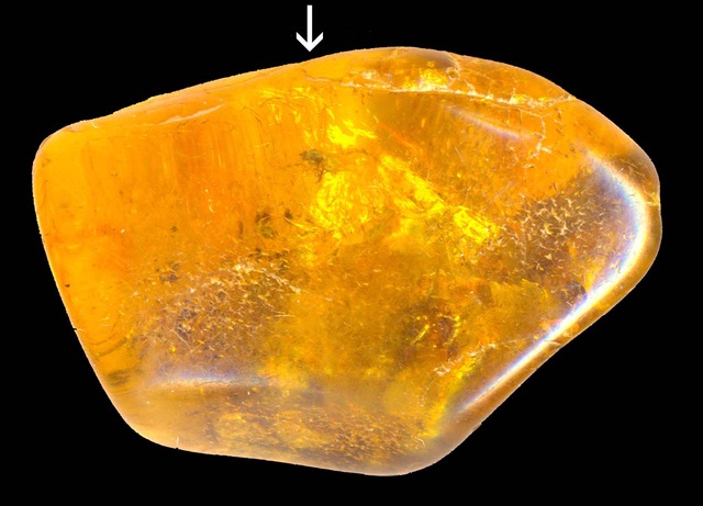 amber stone